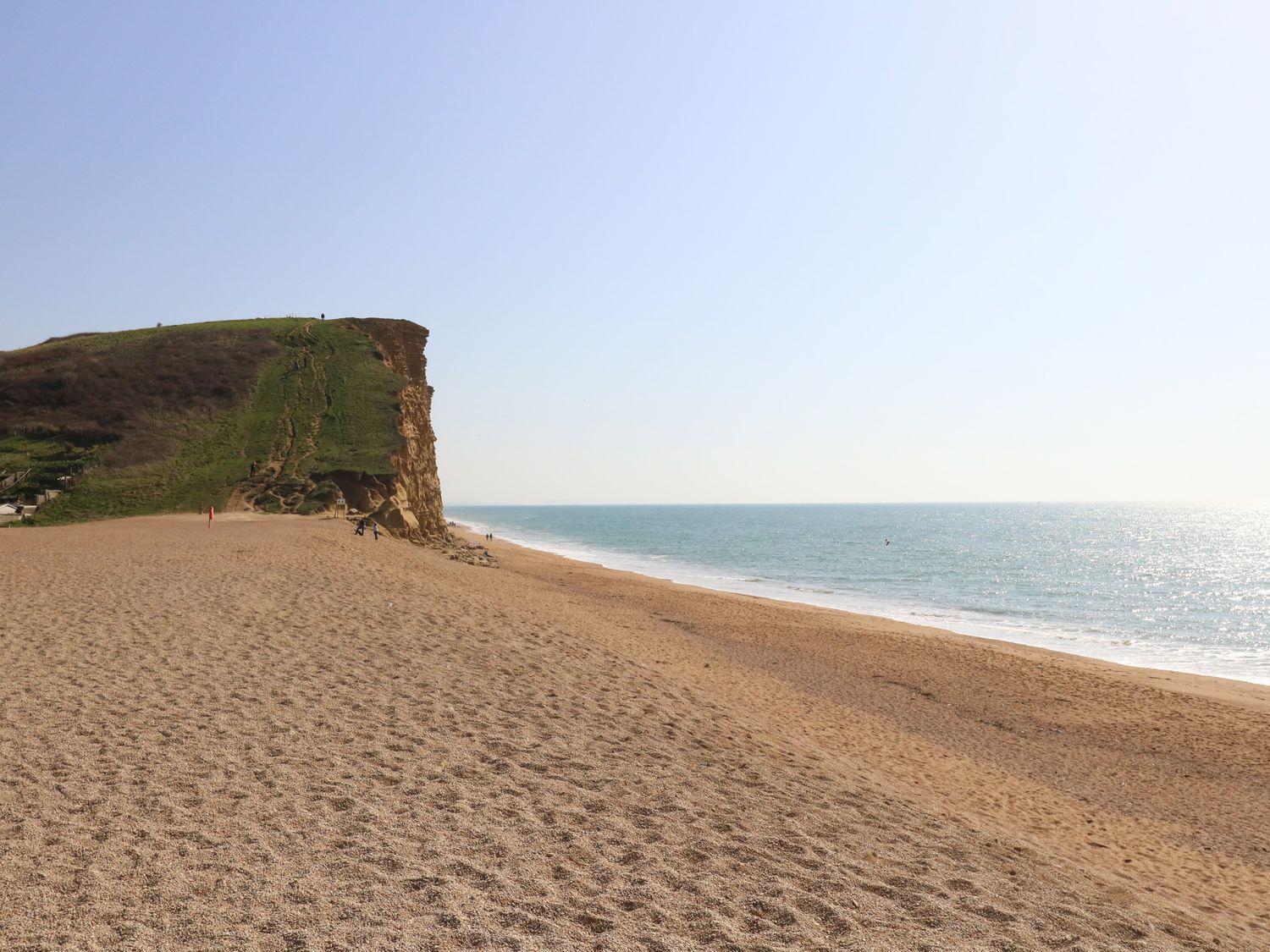 Alice'S Cottage Bridport Εξωτερικό φωτογραφία